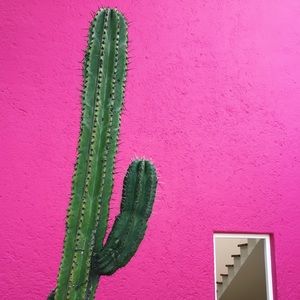 Meet your Posher, Ava